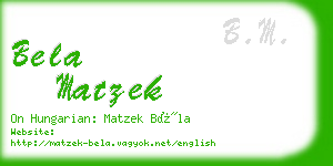 bela matzek business card